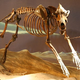 Image for article titled The Truth About Real-Life Dire Wolves